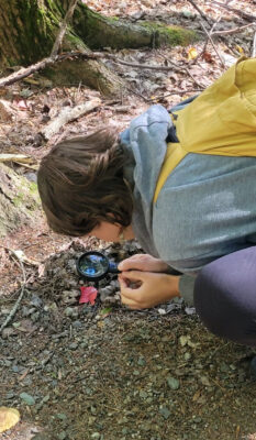 woman inspecting leaf in woods during forest therapy walk in maine 1